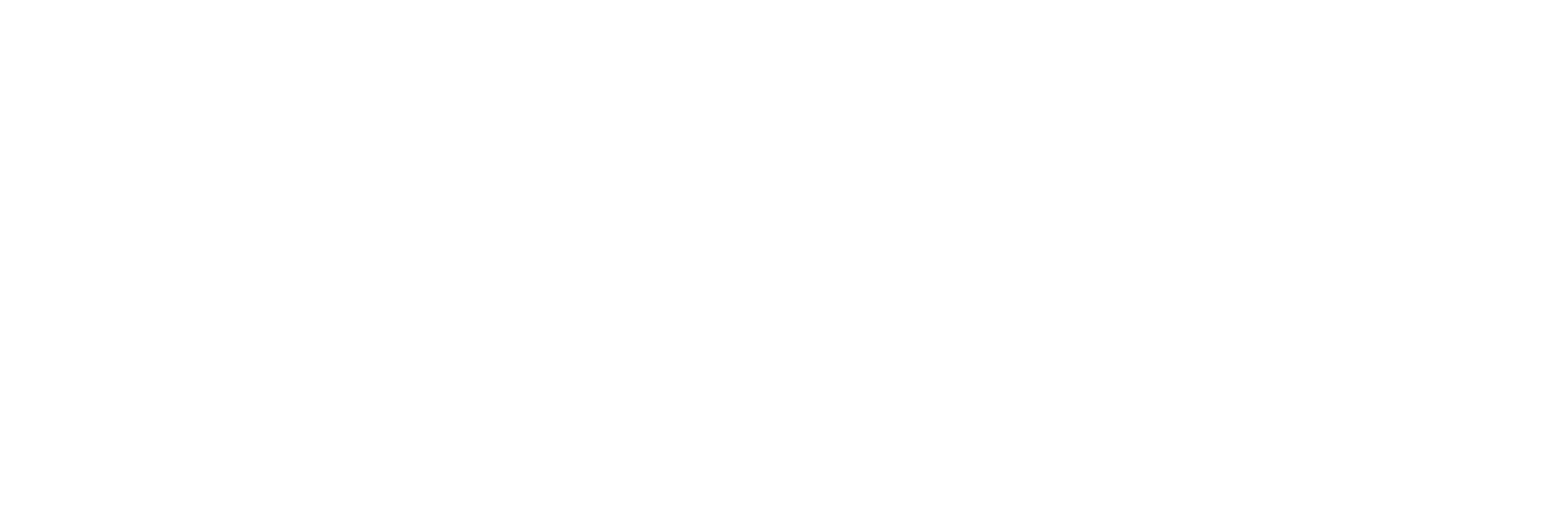 LOGOTYPE-MAISON-NICOLE-BASELINE copie